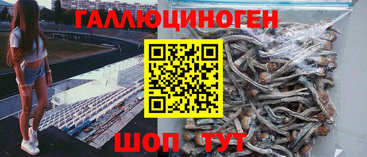 Кинель  Псилоцибиновые грибы MAGIC MUSHROOMS  Вход с VPN 